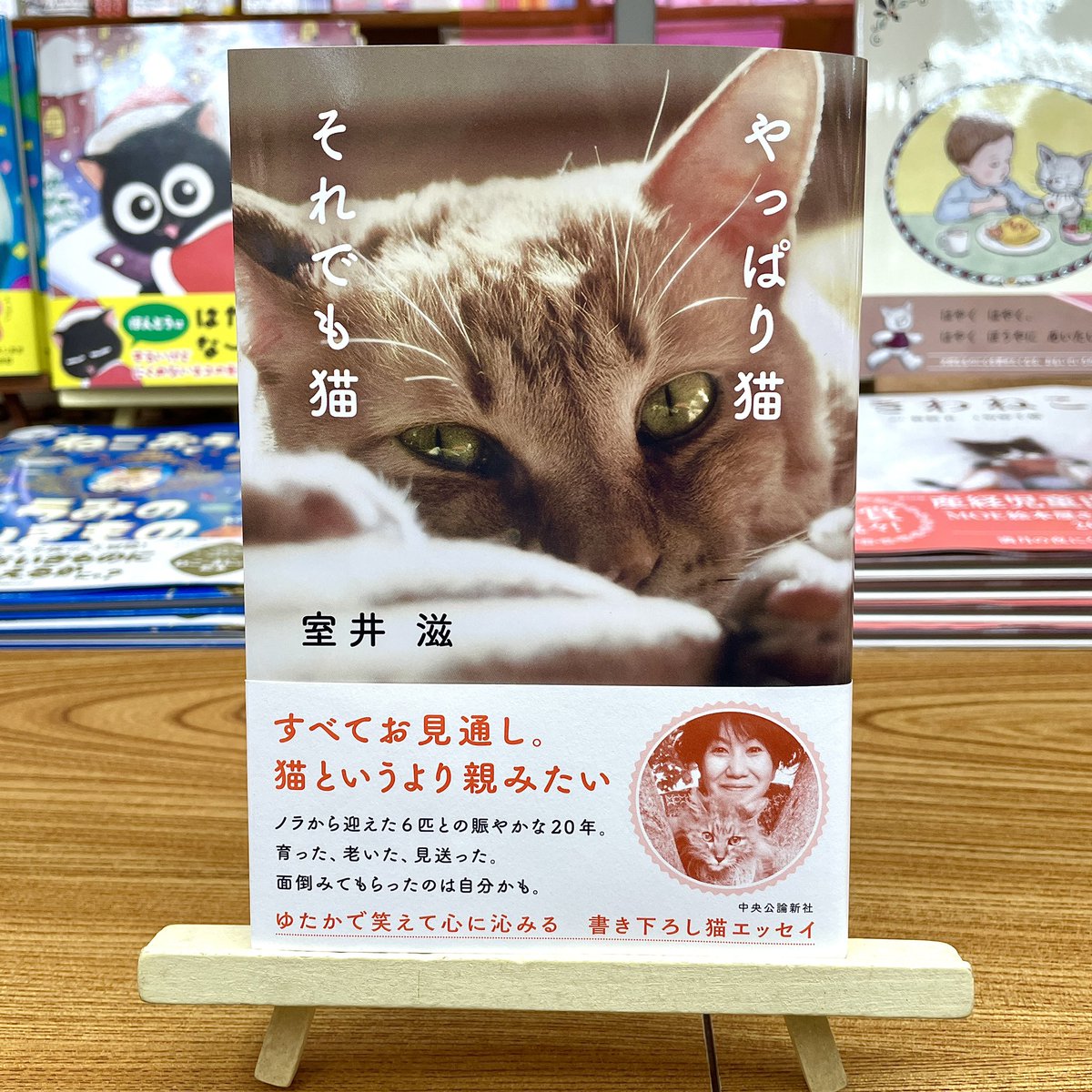 ねこまき ミューズワーク 2025年03月13日（木）ねことじいちゃん11巻
