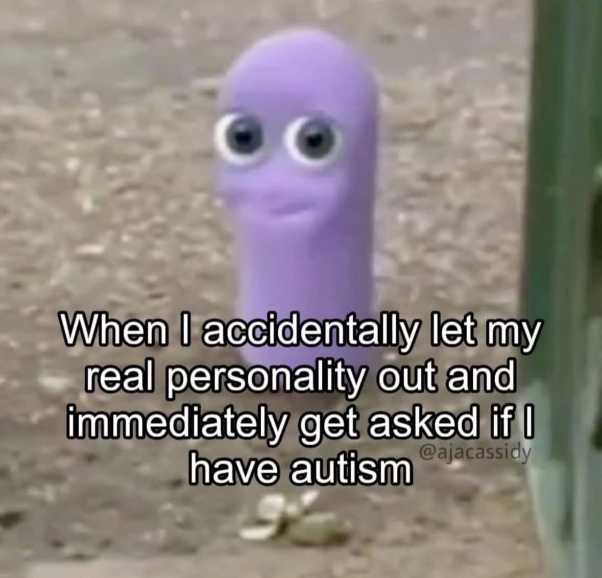 raccoon aesthetic. (@raccoonesthetic) on Twitter photo 