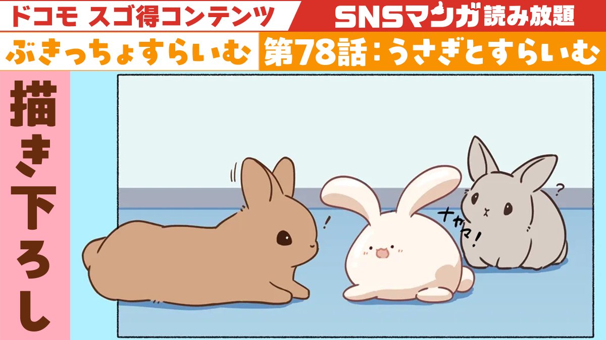 トン助　ウサギ　兎 SNSマンガ 12/18(木)更新!! ／ 可愛いうさぎがたくさん登場！ SNS