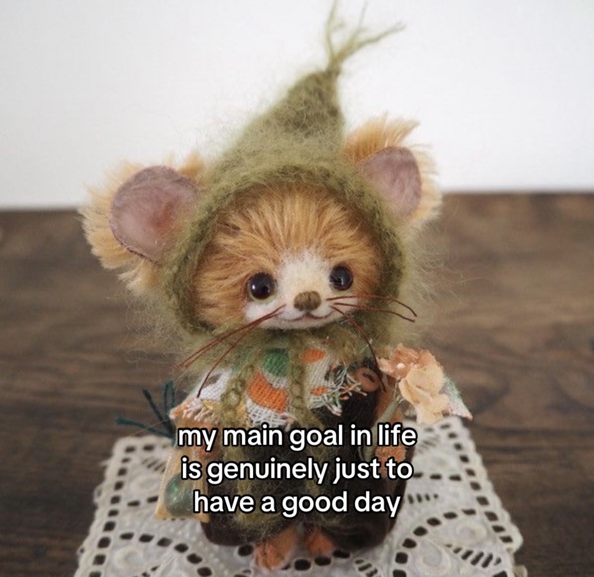 raccoonesthetic's tweet image. 