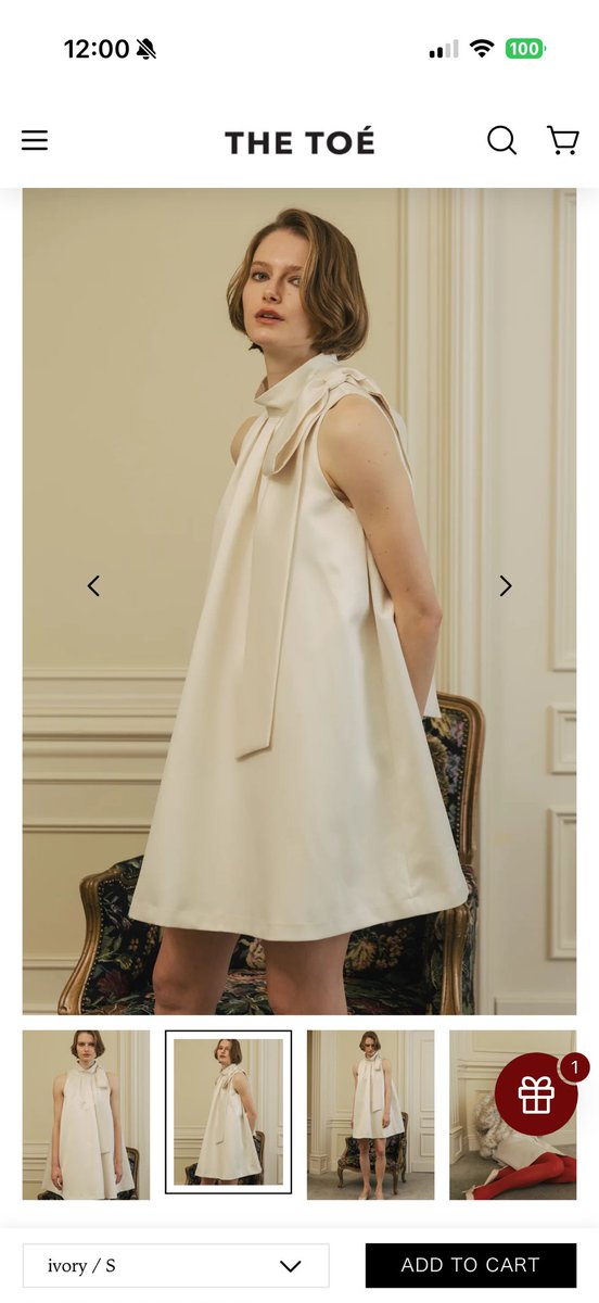 完売　THE TOE the toe Heidelberg Dress 新木優子 インスタのTLで見かけた新木優子さんがお誕生日に着てたワンピースが