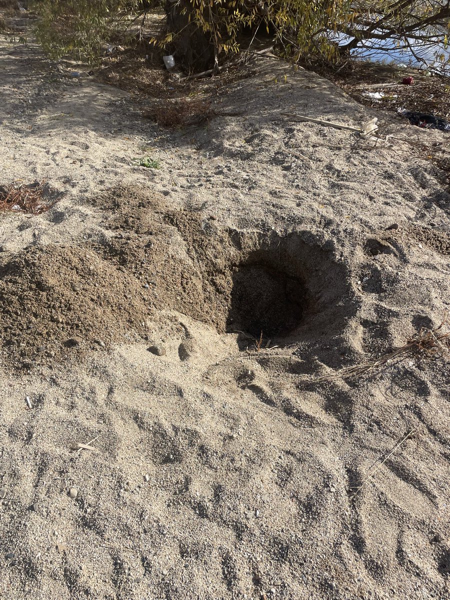 川で骨あって近くにスコップがあり、掘ってる痕跡がある、そしてスマホの部品。事件の匂いぷんぷんする

怪しいと思ってこのスコップで少し掘ったけど怖くてやめた。