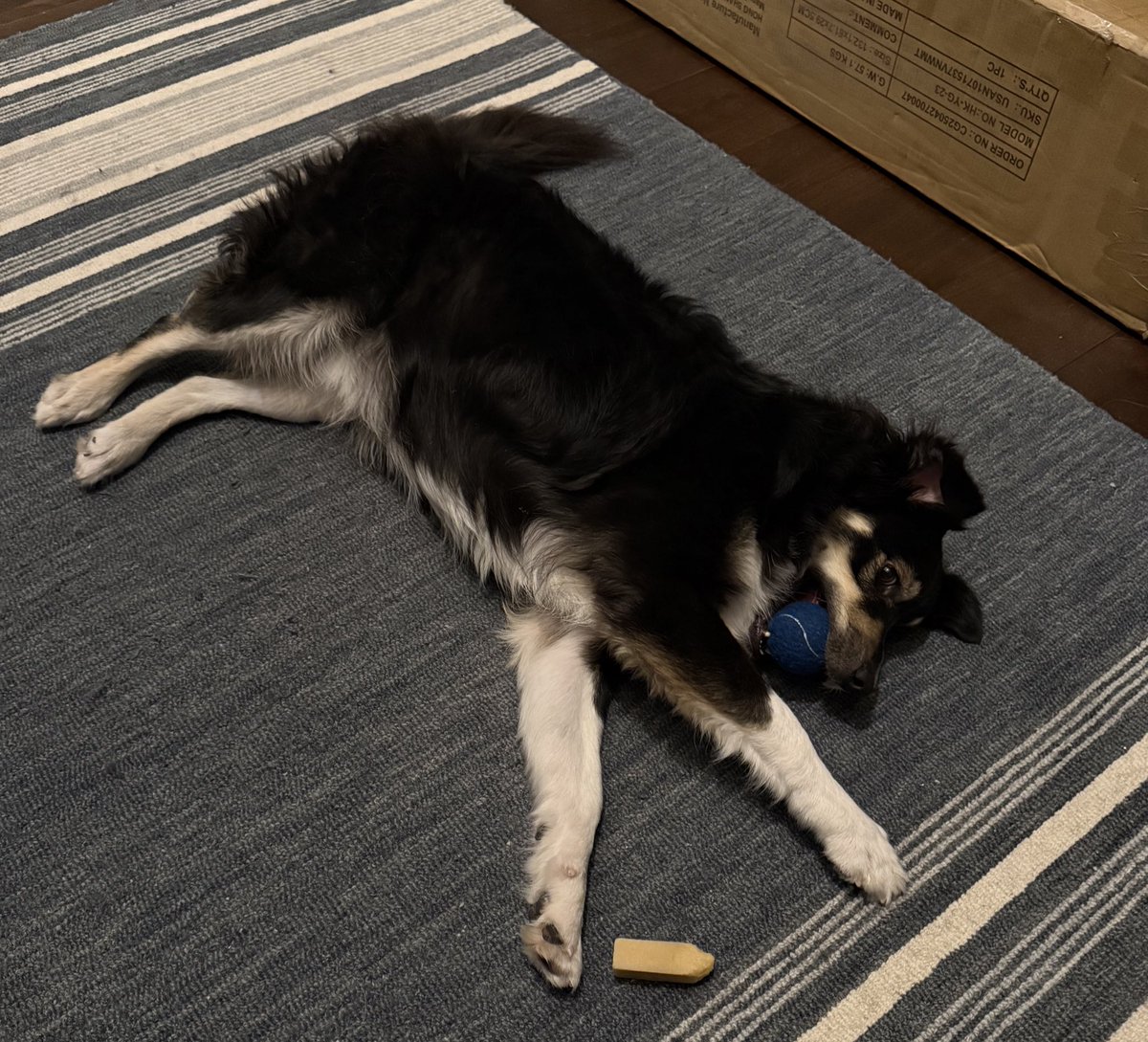 Don’t forget to put a tennis ball in your mouth to ensure a fully restful sleep.