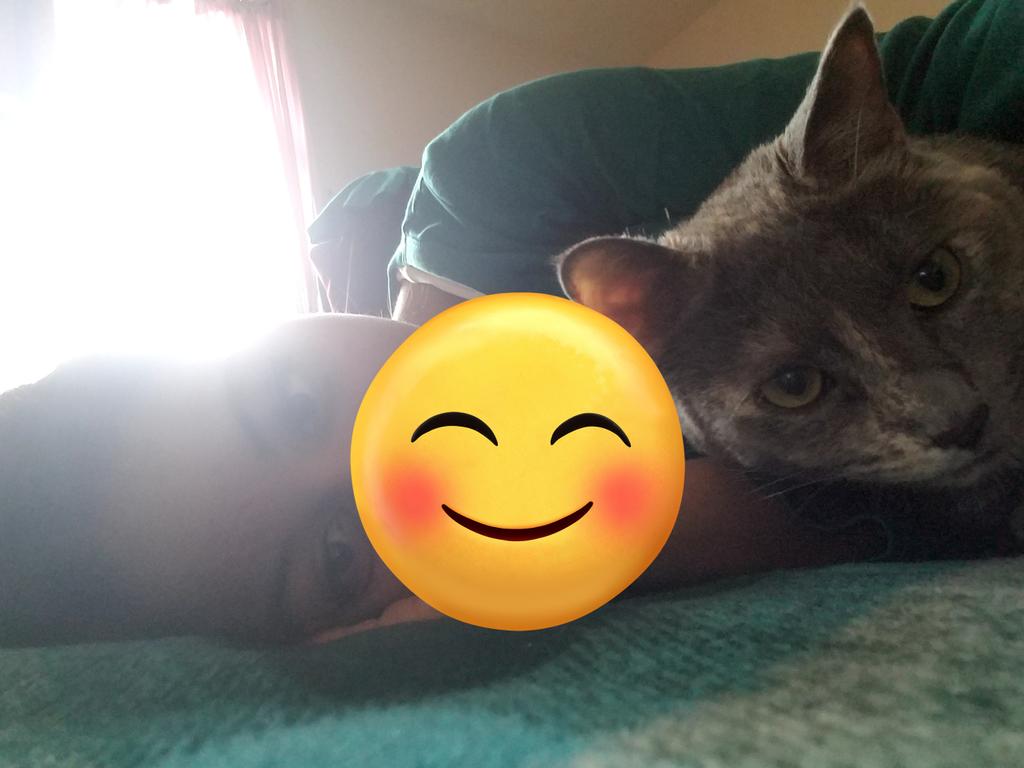 reby_multifan02's tweet photo. My cat is joining the onlyb selca day too #ONLYBSelcaDay #ONLYBSD #OBSD
#JUSTB #저스트비 #ONLYB #chusiwoo #siwoochu #peterchu #siwoo #justb_siwoo #siljb @JUSTB_Official @JUSTB_offcl_jp @JUSTB_twt @stilliluvjustb https://t.co/U3zwvtZlhl