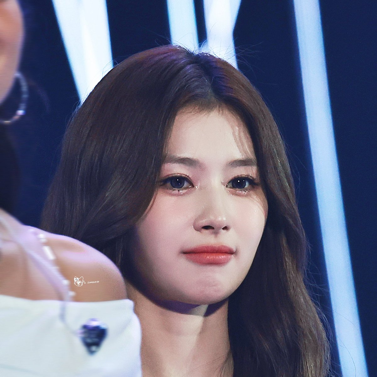 KCl ฅ^•ﻌ•^ฅ tweet media