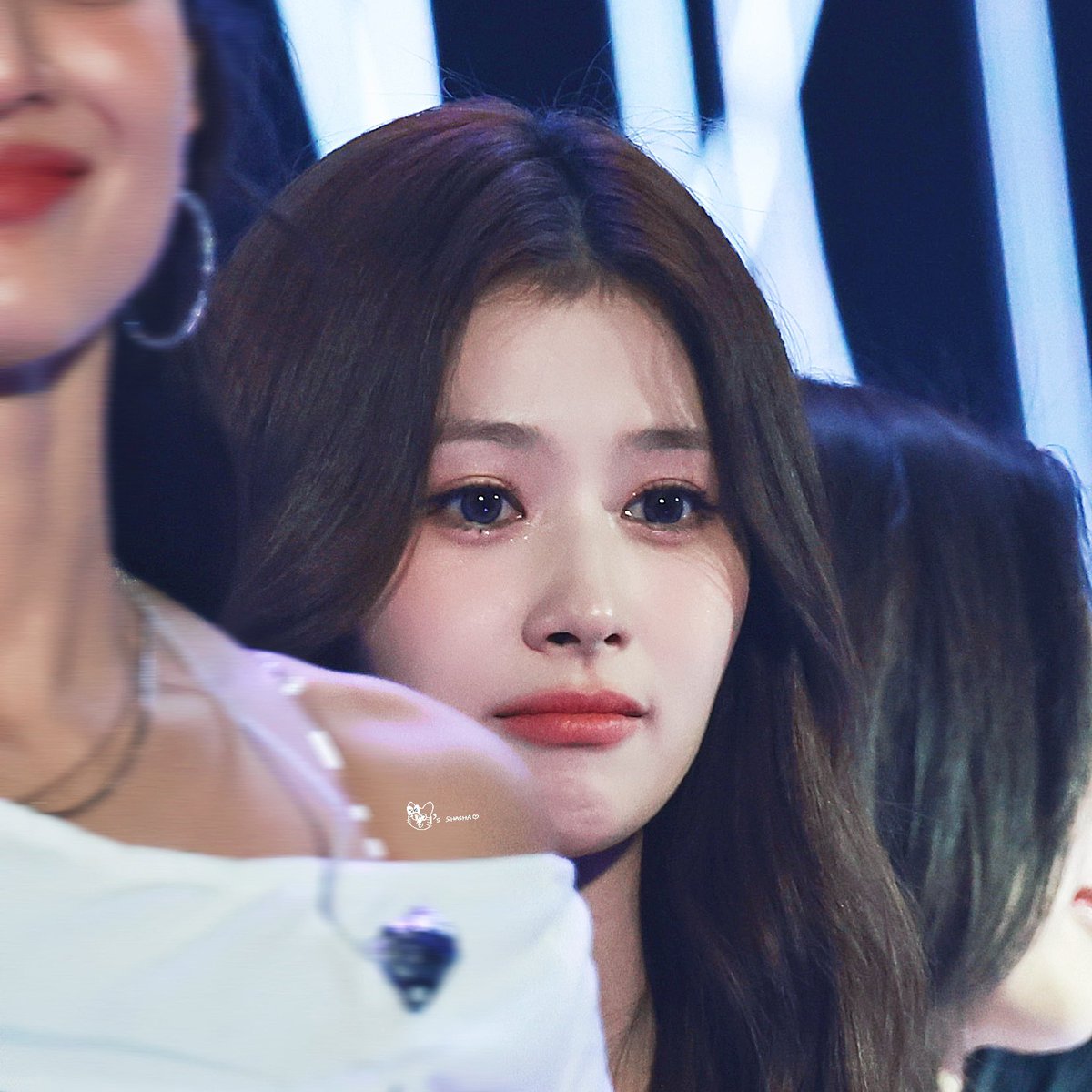 KCl ฅ^•ﻌ•^ฅ tweet media