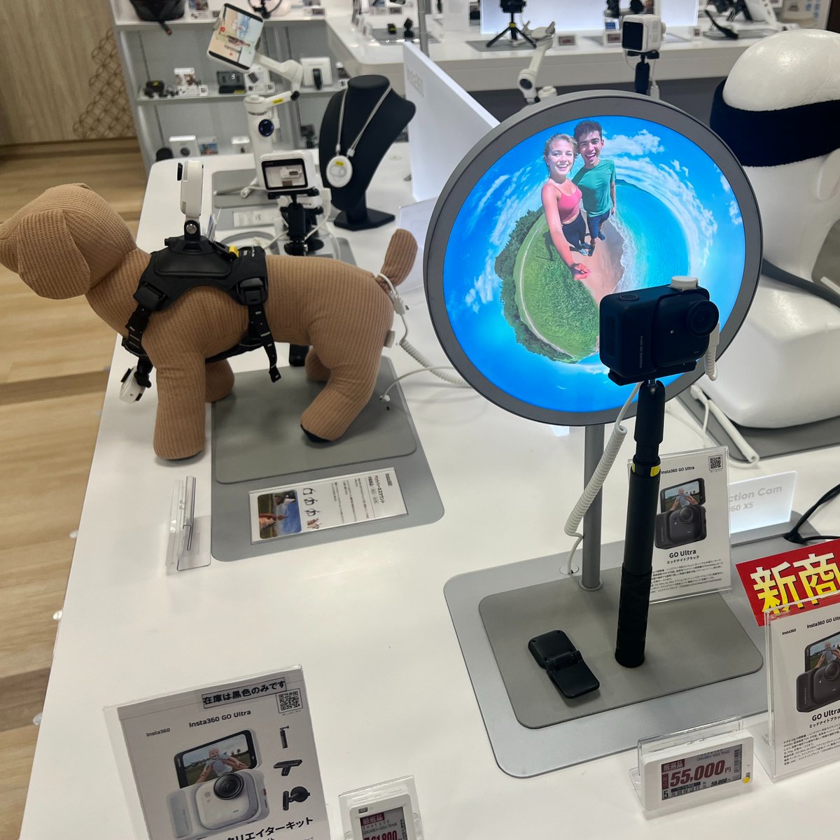 大河さん専用 楽天市場】Kodak LENS × SAMURAI SHO 哀川翔 サングラス 翔サングラス