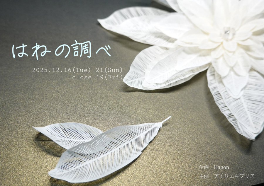 🕊️展示のお知らせ👼 #はねの調べ 2025.12.16(火)-12.21(日) 13:00-18