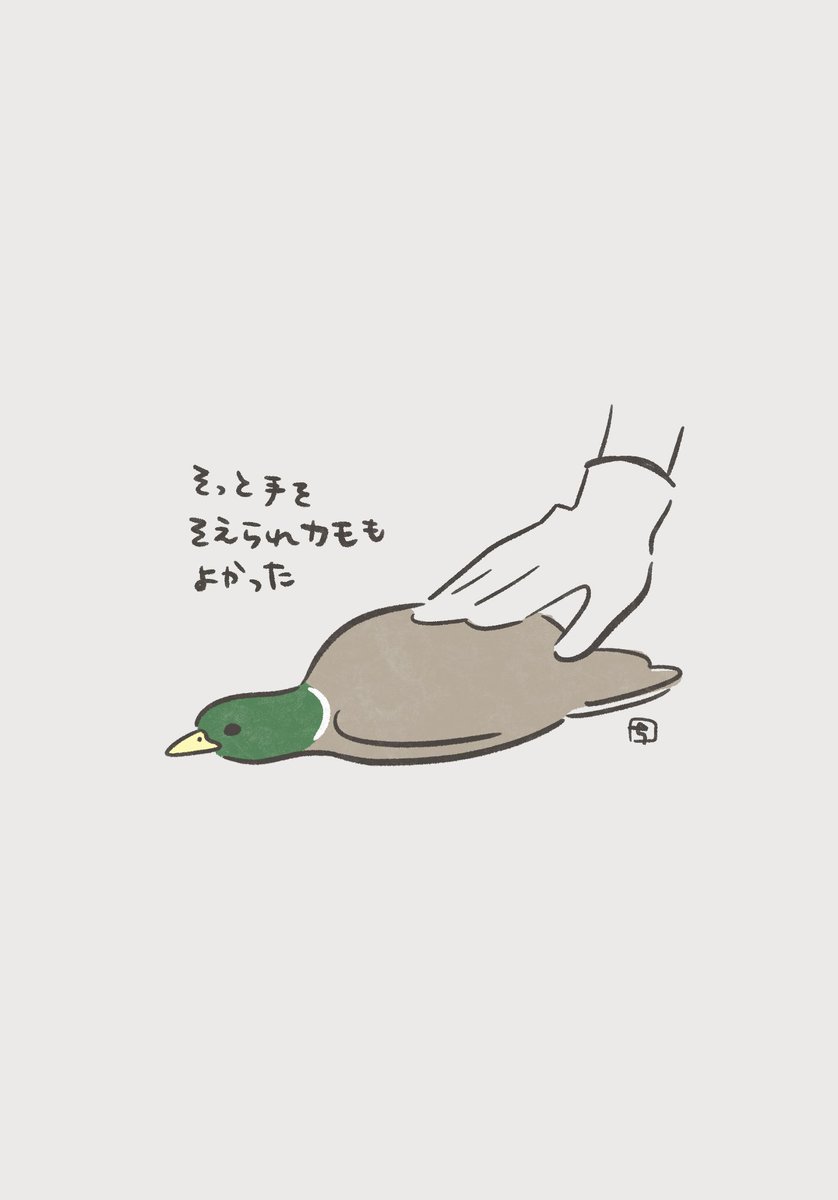 ふにゃふにゃのカモ良い