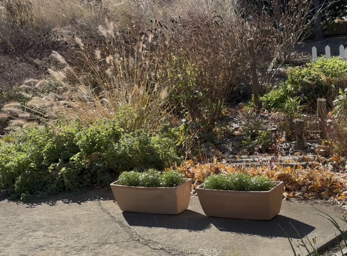 カヌー部🛶🛶