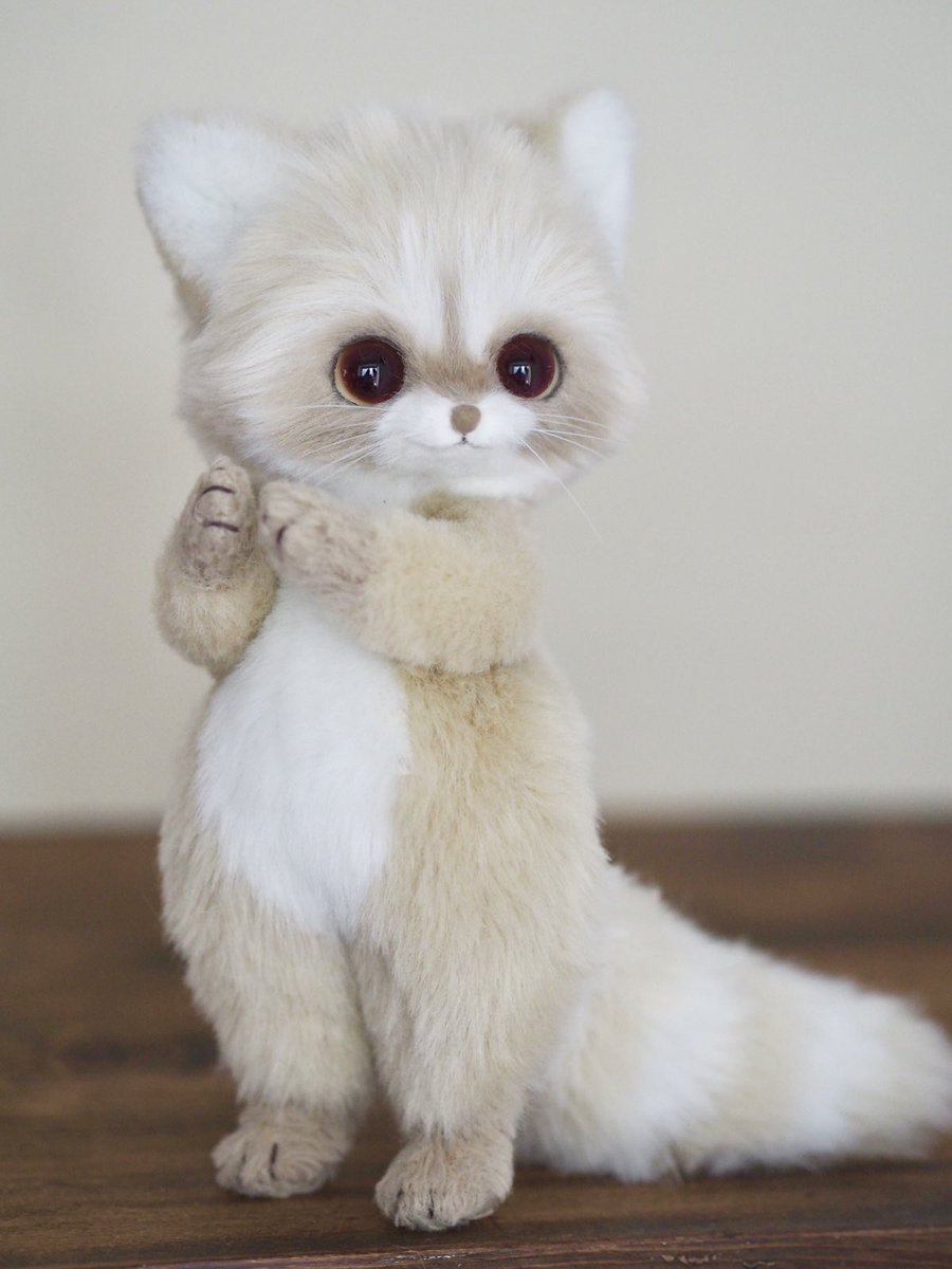 まめこ (@Mamekonokomame) / Posts / X