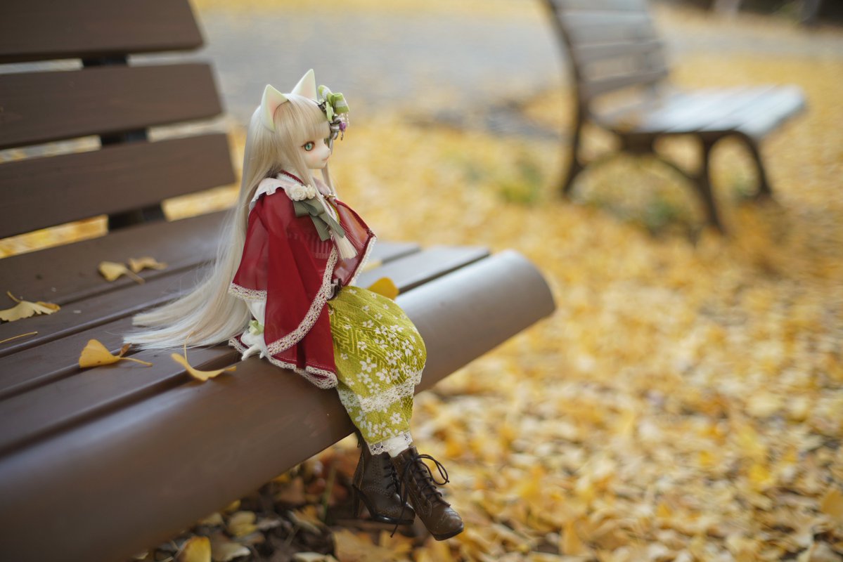 #今年も残りわずかなのでお気に入りの4枚を貼る