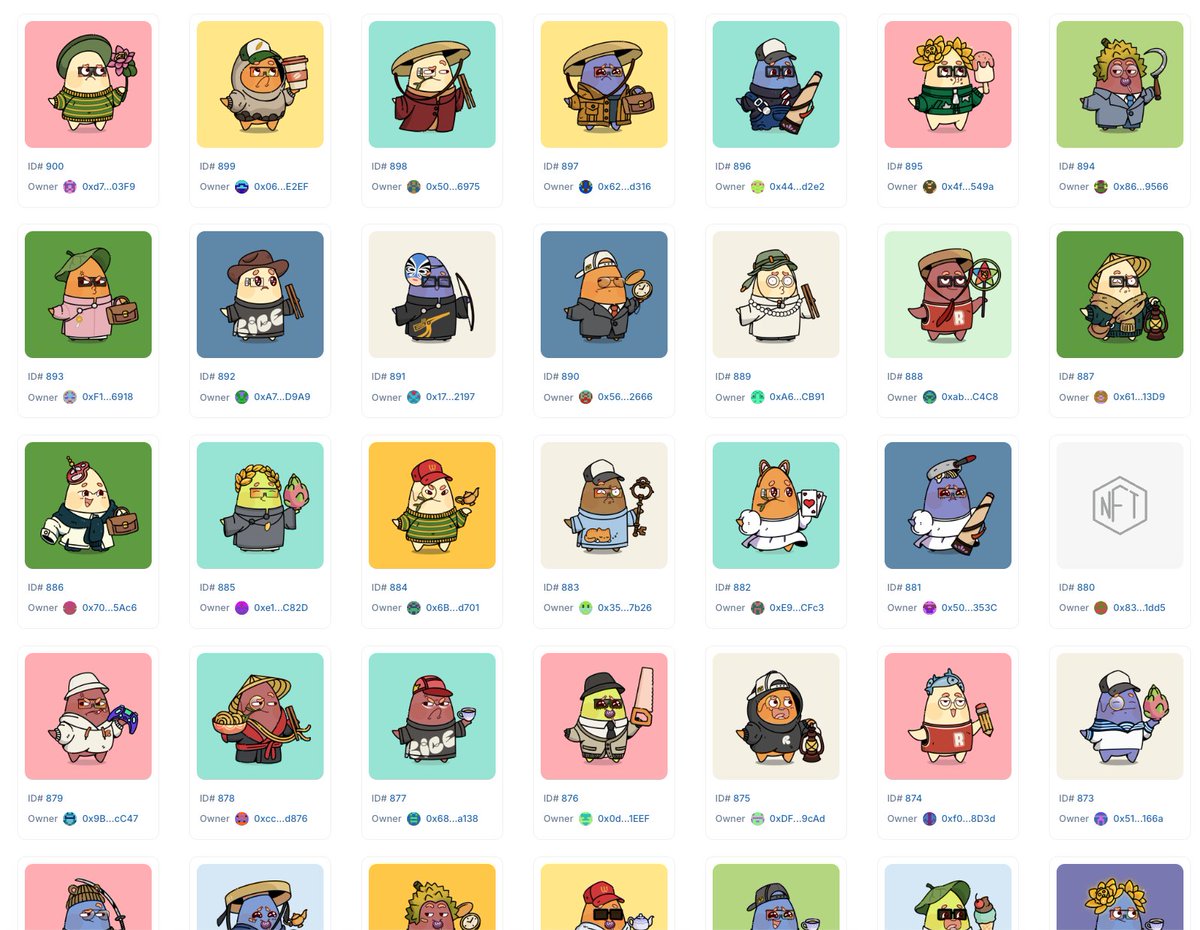 Paddie Rice 🌾 tweet media