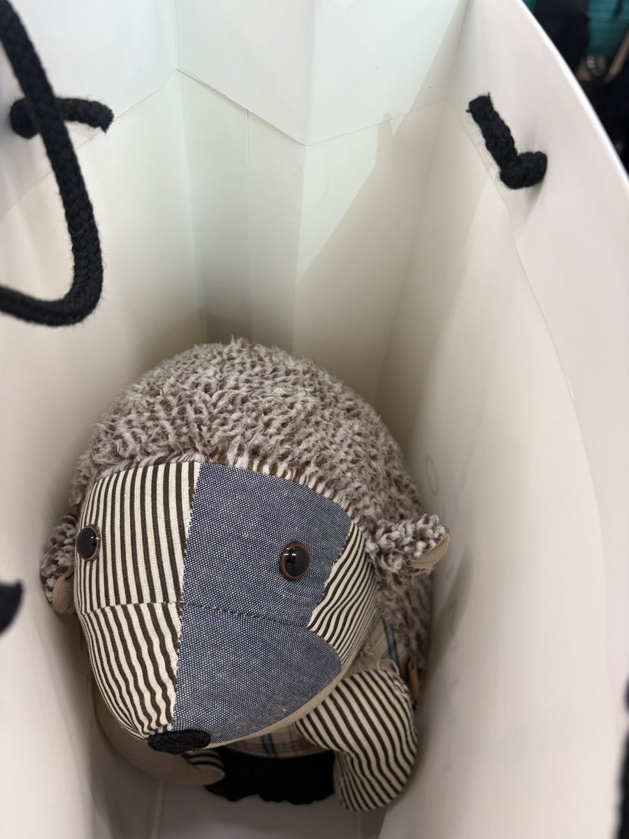 剥き出しのマグ（マガラニカの物販守護神a.k.a起き上がり小法師ハリネズミ）と一緒に、高田馬場へ。

残りの2025年も、来年も頑張れる歌を歌ってきます💪🎤

まずはギターのたじーと最終リハでスタジオから。
お会いできる方、楽しみにしてます✨