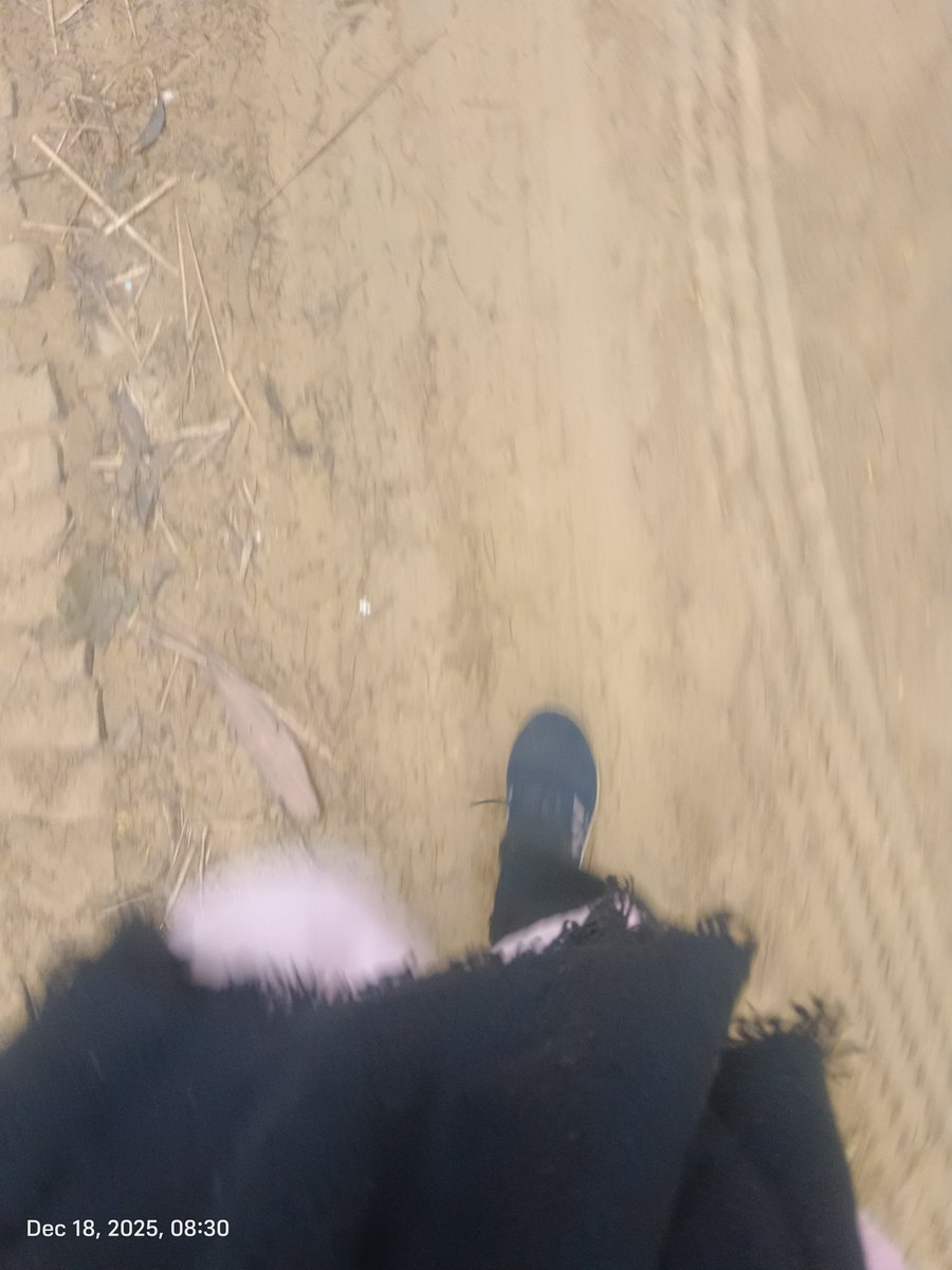 बेसाख़्ता tweet media