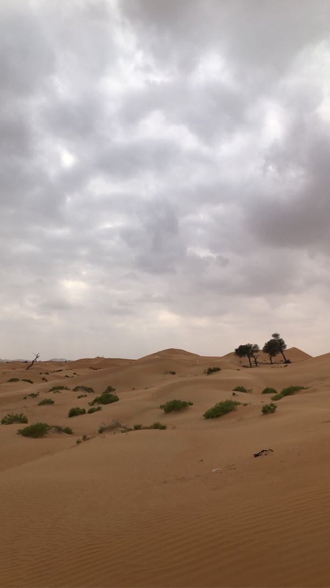 صبحكم الله بالخير ، اما بعد:

"يالله بصبحٍ فيه رحمة وتوفيق ، 
من عند ربٍ ما انقفل يوم بابه

صبح السعه مافيه همٍ ولا ضيق ،
فيه البشاير ودعوةٍ مستجابه".
     #صباح_الاجواء_الحلوه