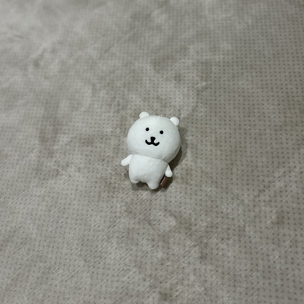 ナガマGINZAで買った新入りくまちゃん(˙ᴥ˙) 産まれたてだから