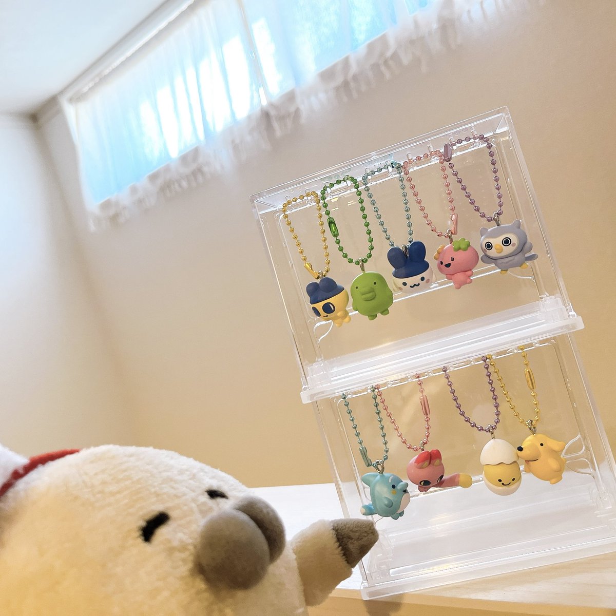 norazarashi's tweet photo. セリアいいね╰(*´∞`*)╯❤️❤️❤️
#ぬいぐるみの時間 #推し活グッズ #TMGC_net https://t.co/FzAbB8ljcJ