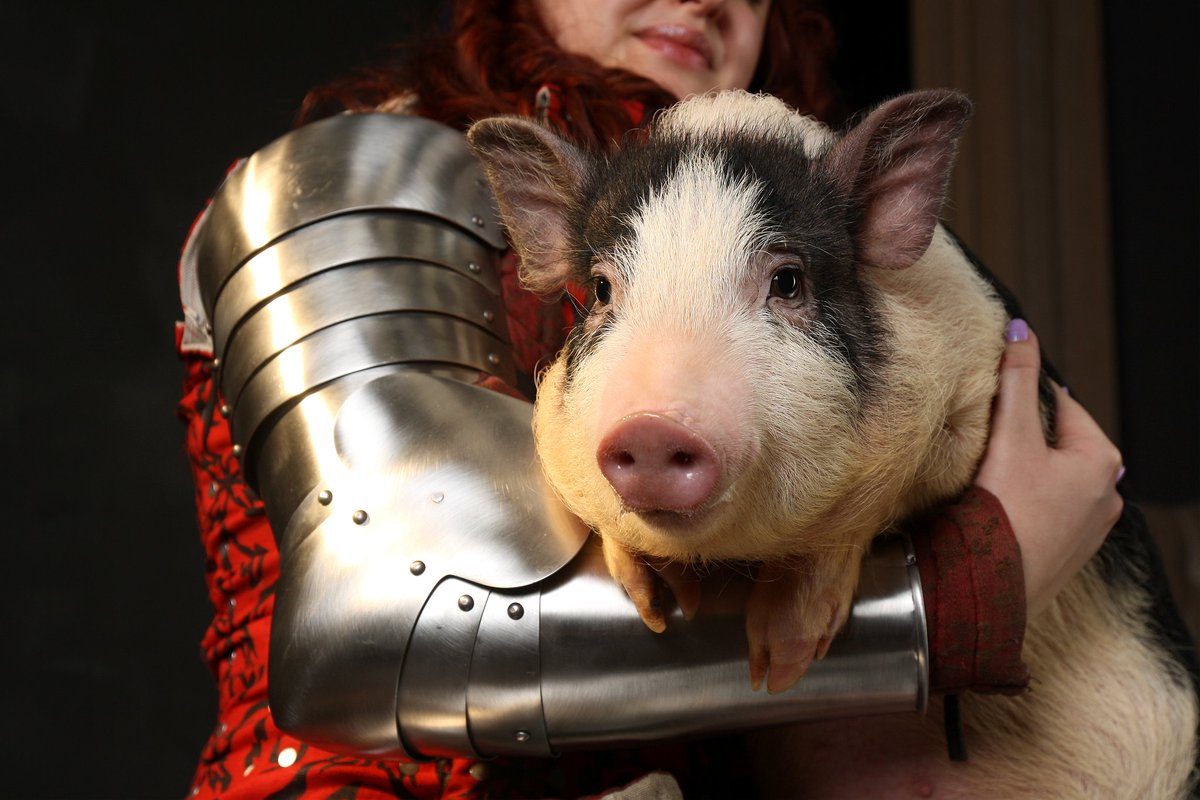 NatoI23406's tweet image. Продолжаем ностальгировать по моему бывшему. 
Бывшему месту работы. 
Арма Московия не пережила войну, а Хрюша к сегодняшнему дню уже, наверное, умерла. 
#medieval #armour