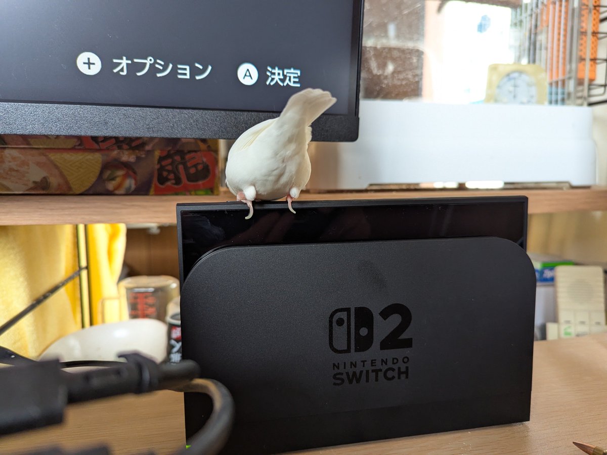 尻の暖め場所を求めて