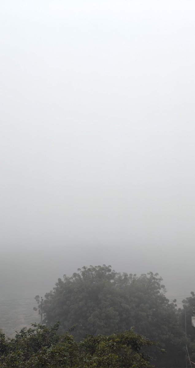 Rohit_p__'s tweet image. Kaali polluted dhund...😭😭👇
Saamne wali terrace par ek uncle cigrette phook rahe the uska dhua jyada safed dikh raha tha.. 😭😭
#DelhiAirPollution