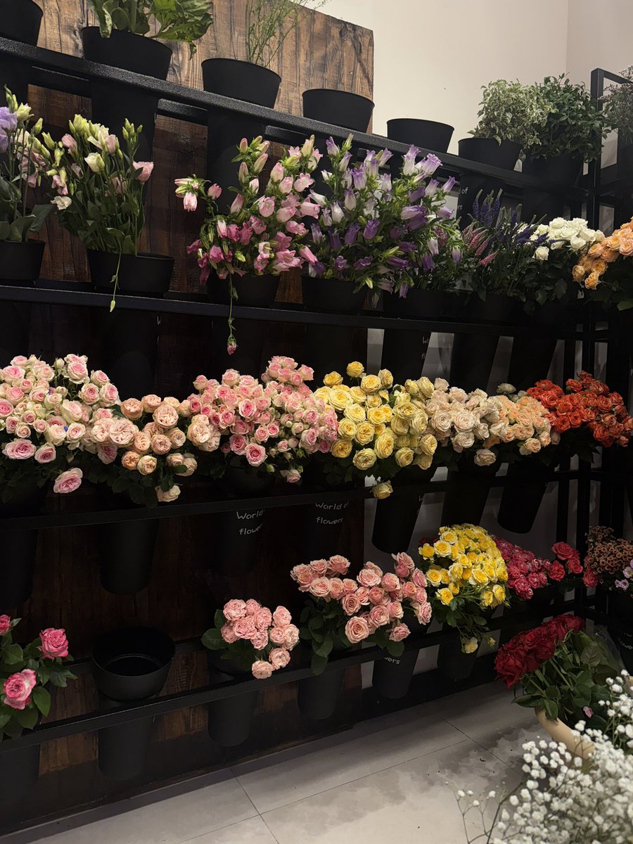 قلببببببببييييي سعيييييدددد ❣️✨