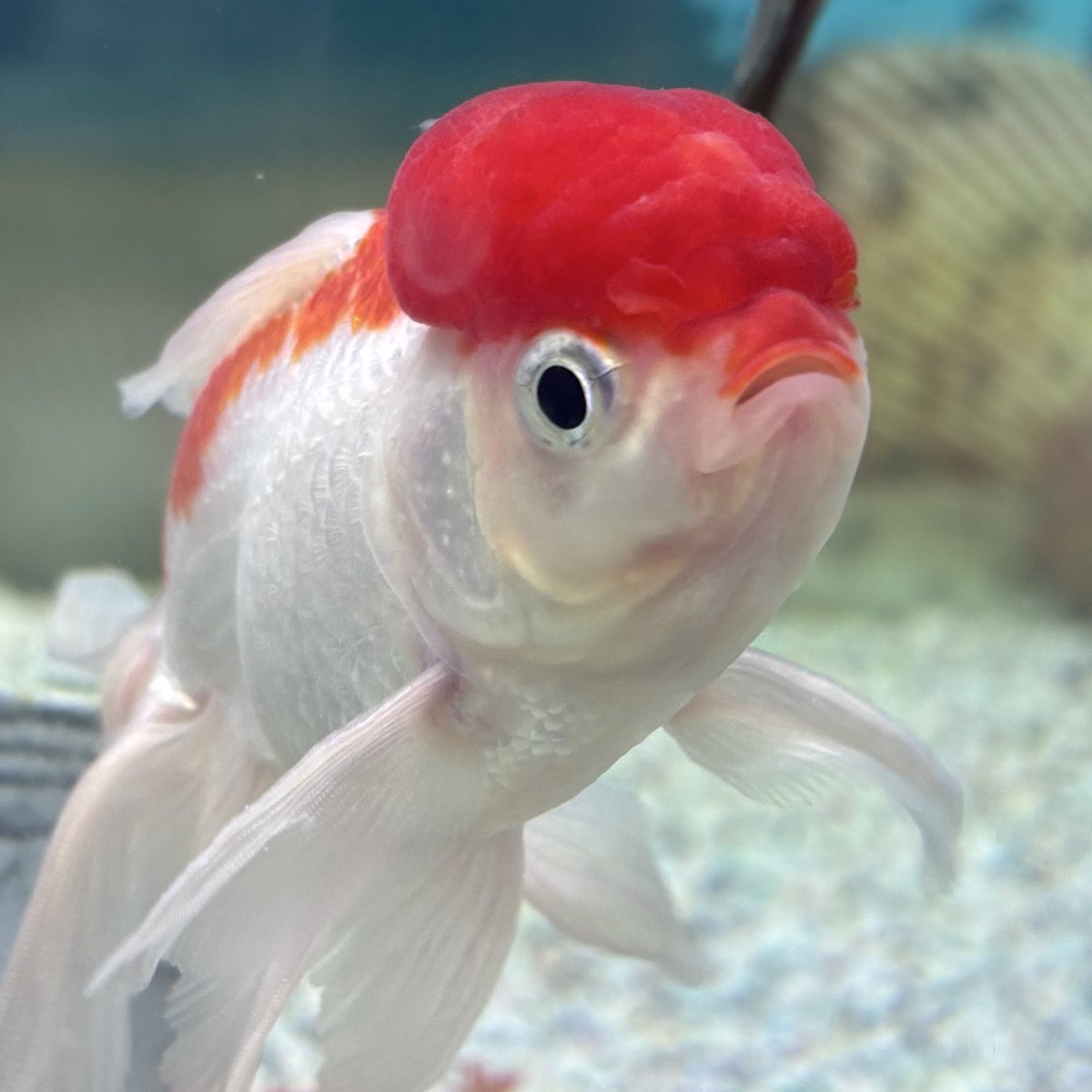 tina 🎄 tweet media