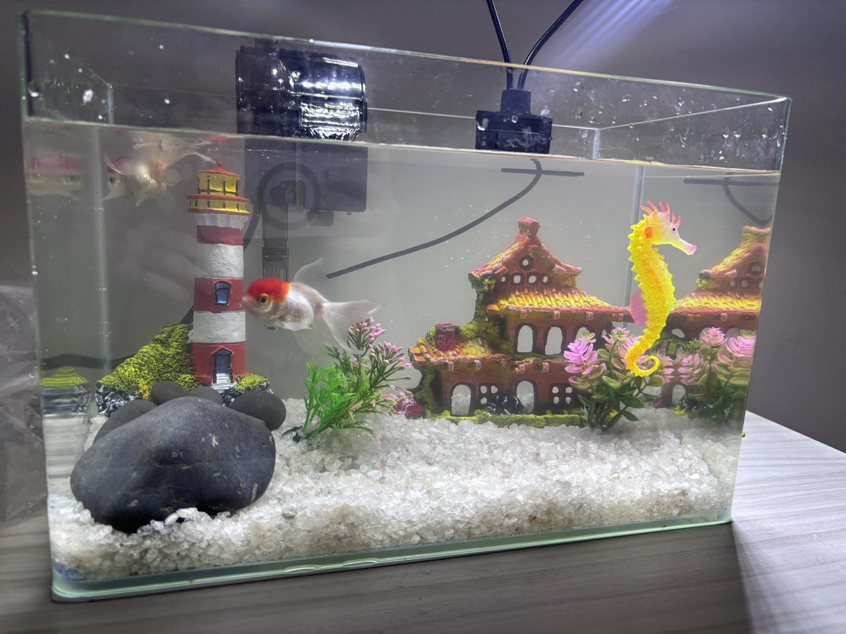 tina 🎄 tweet media