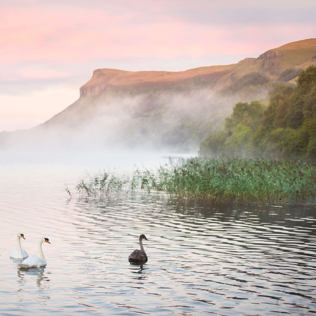ThisIsIreland3's tweet image. Sunrise over Glencar Lake in our Hidden Heartlands. Like something right out of a dream. 💭 🏞️

📍Glencar, County Leitrim 🇮🇪

📸 @TourismIreland 

#Sunrise #GlencarLake #Leitrim #Ireland #Glencar