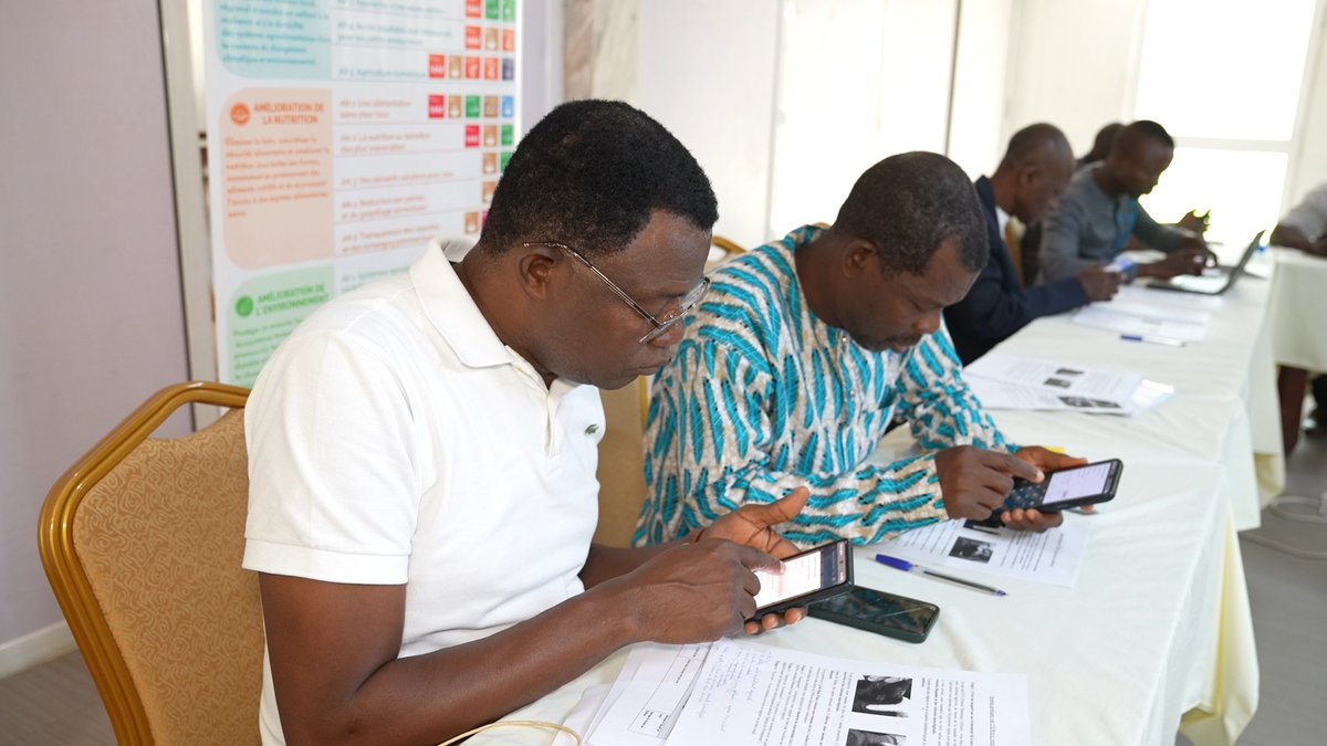 FAOauTogo's tweet photo. Avec l’appui à distance de l’équipe #EMPRES de @FAO, la formation conduite par les experts nationaux s’est poursuivie à travers des travaux pratiques en 2⃣ groupes complémentaires:
1⃣1⃣ #Véto🩺, pour l'intégration des données de terrain via📱#EMAi+;

#SantéAnimale🐾#OneHealth
1/4 https://t.co/4eng1pETea