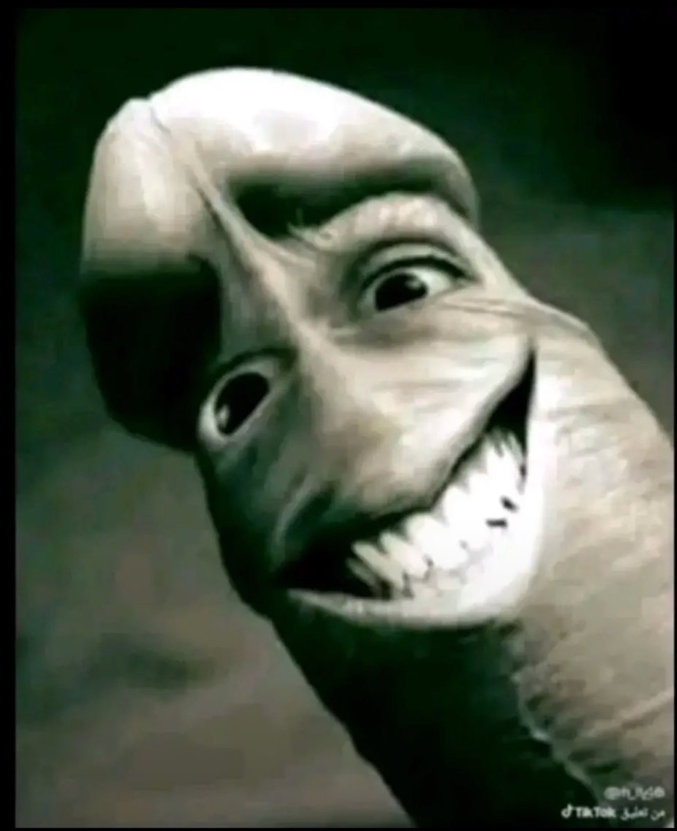 My dick rising like I didn’t already jork him 6 times