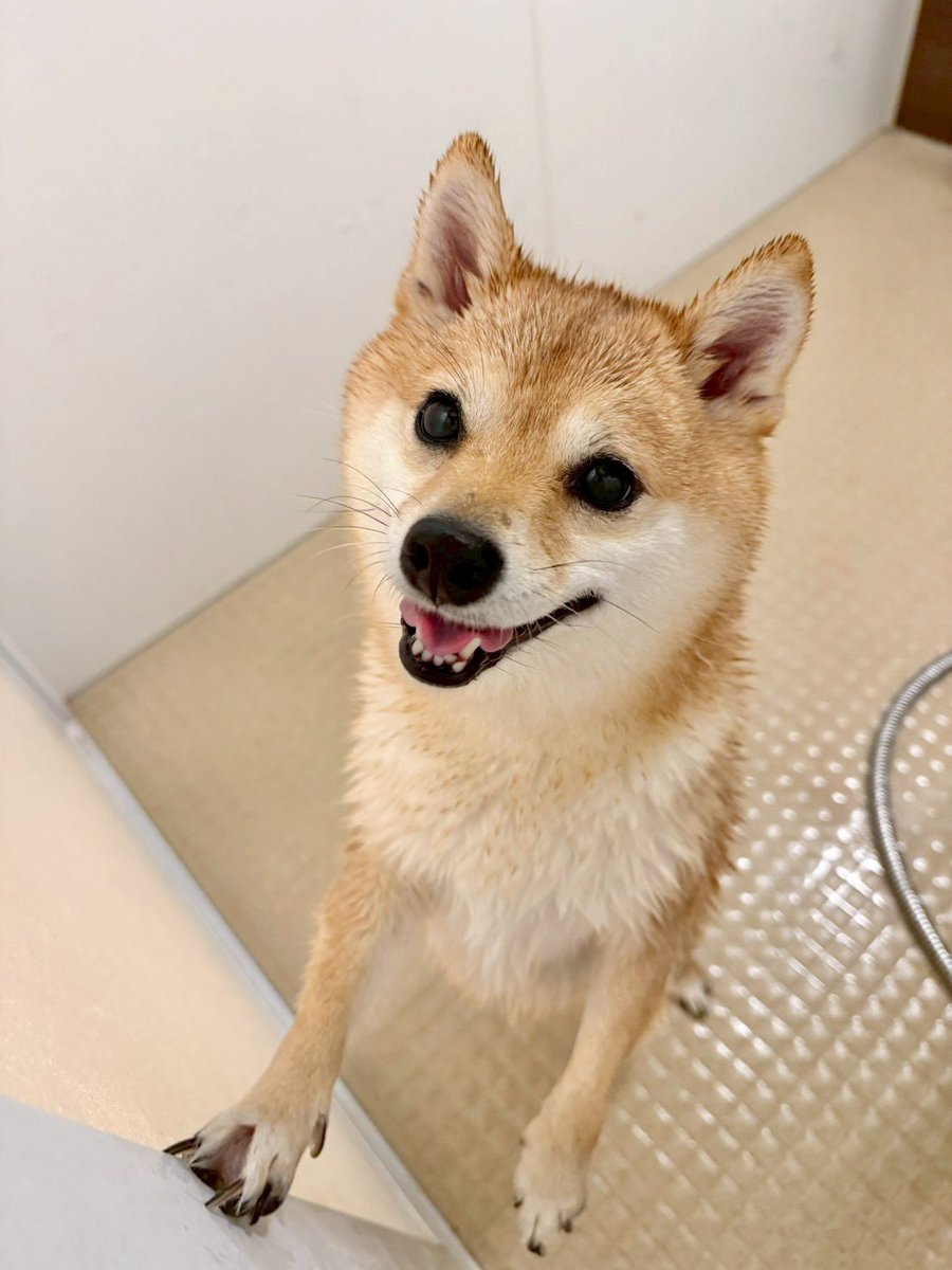 丸 顔 体育 祭 髪型｛官网：701.tw｝.ggb