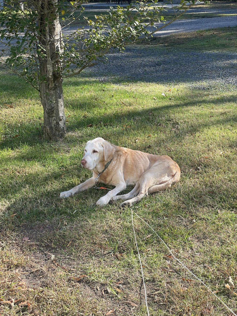 Jeff Ridgway (Psycho Dad) tweet media