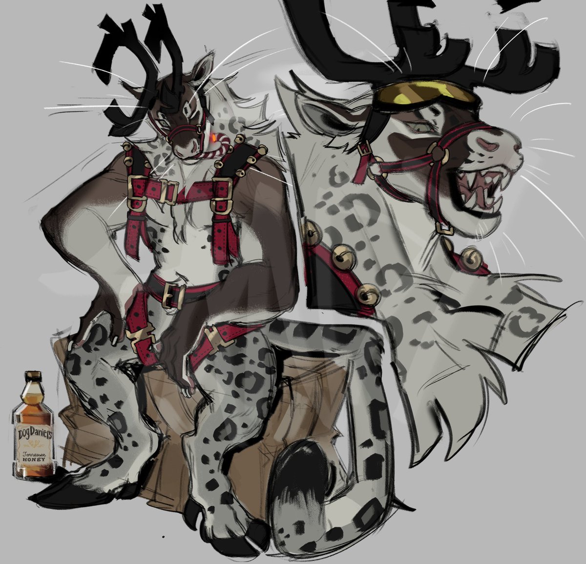 Snow leopard reindeer