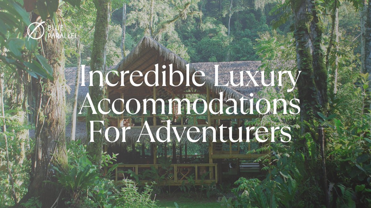 Blue_Parallel's tweet image. Some of the world’s most compelling luxury stays sit inside the landscapes they explore, from a 10,000-acre Patagonian estancia near Perito Moreno Glacier to Costa Rican rainforest retreats reached by river. Subscribe to our newsletter for more insights. zurl.co/JqVK4