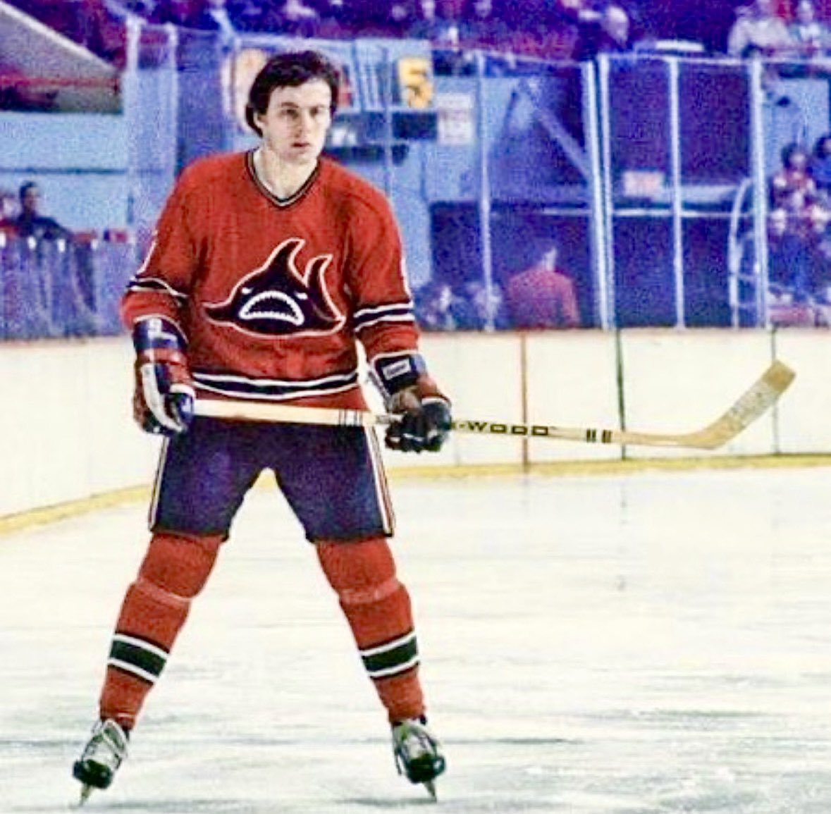 Old Hockey Cards tweet media