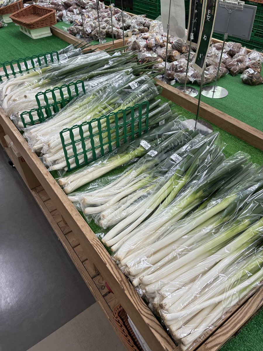 おはようございます🌞 本日は八王子産の白菜、長ネギ、人参などが出荷