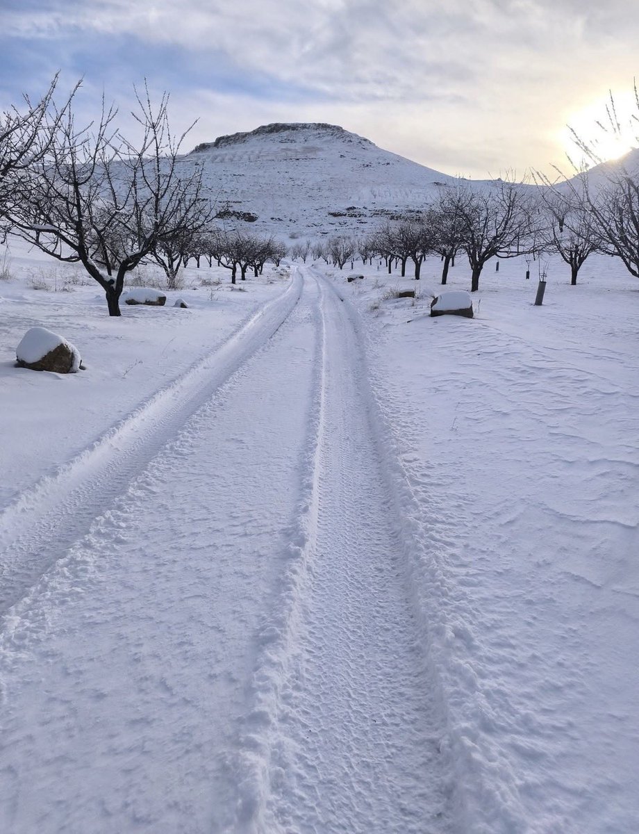 ريف دمشق 🇸🇾