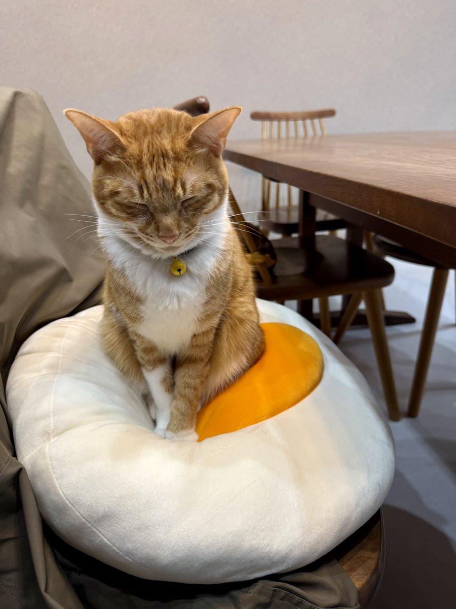 ひさこちゃん確認用 ひさこ☀️ (@hisako317) / Posts / X