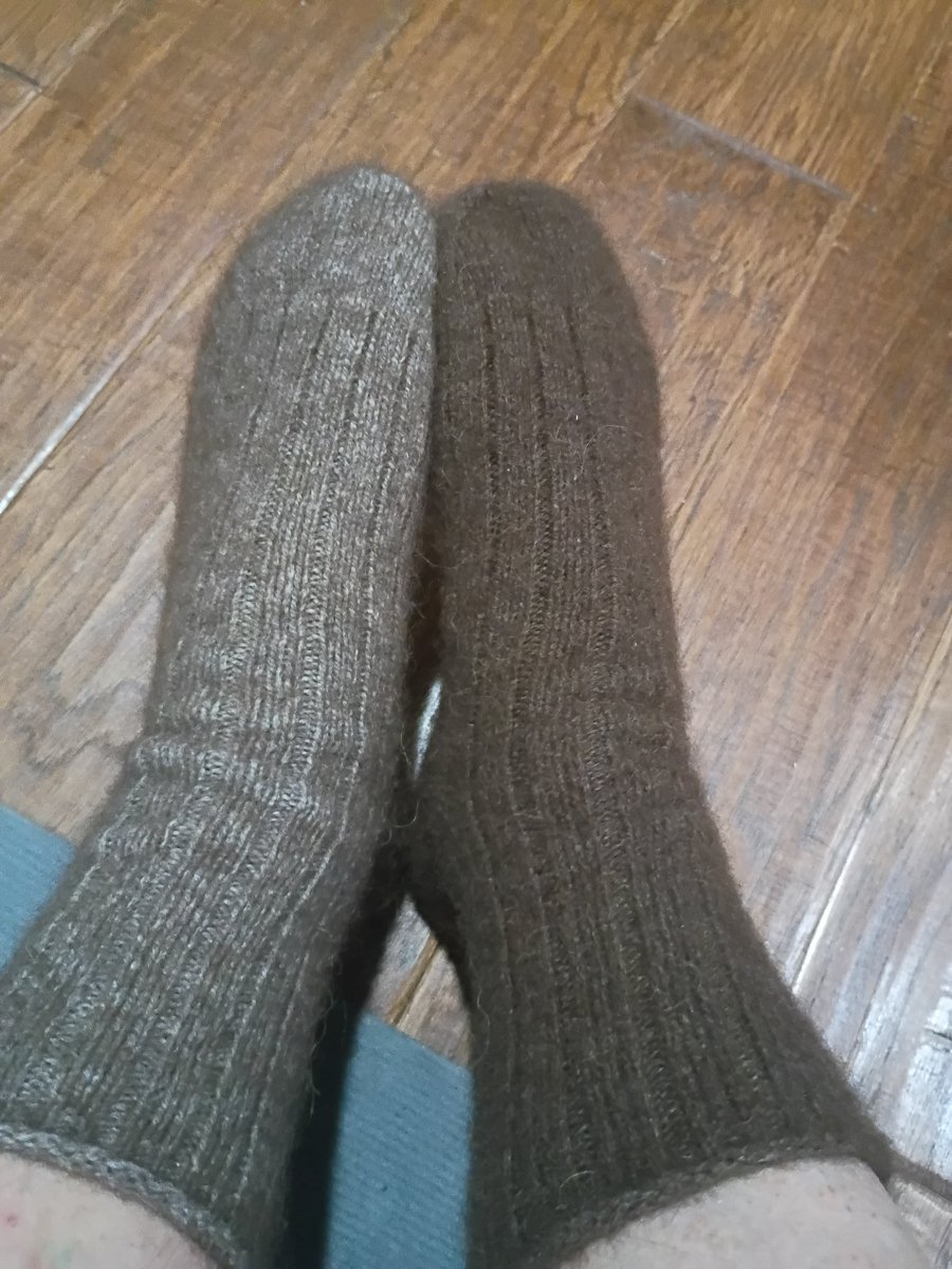 BuffaloRon tweet media