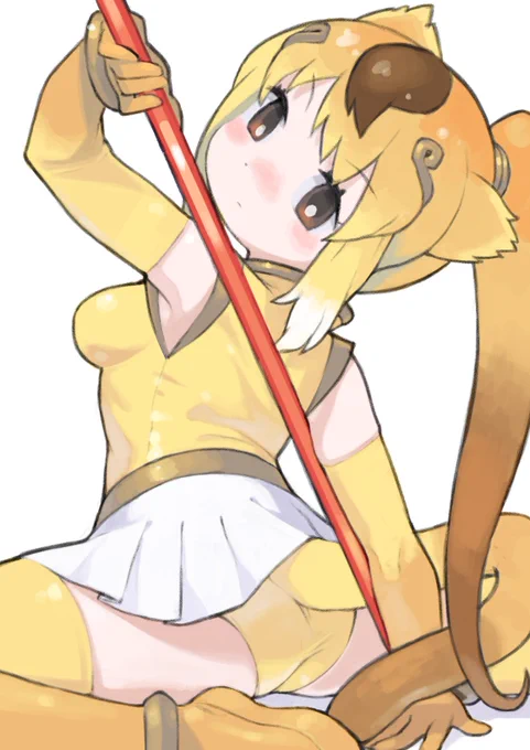 お題箱、キンシコウのおしり