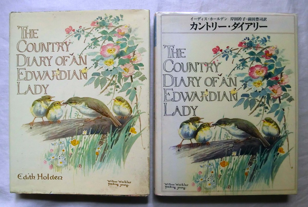 🐿️野の花や鳥たちの姿を瑞々しい水彩画で残した、イーディス 🐿️野の花や鳥たちの姿を瑞々しい水彩画で残した、イーディス