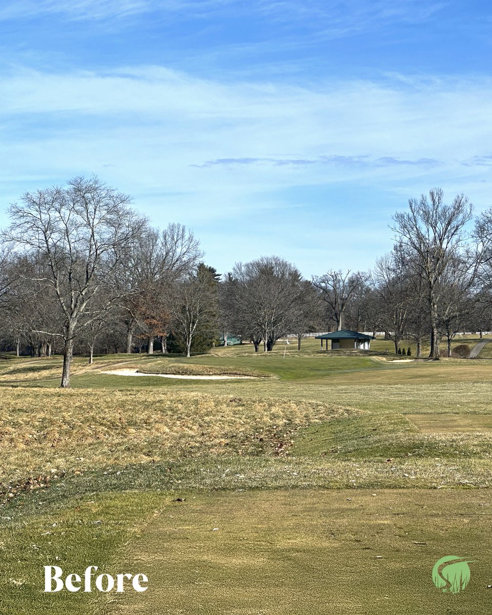 Andy Staples tweet media