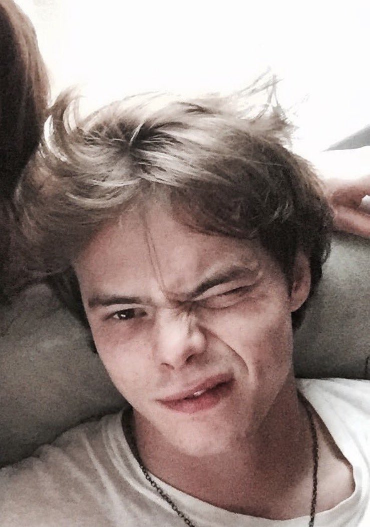 charlie heaton why are you so bjork at times