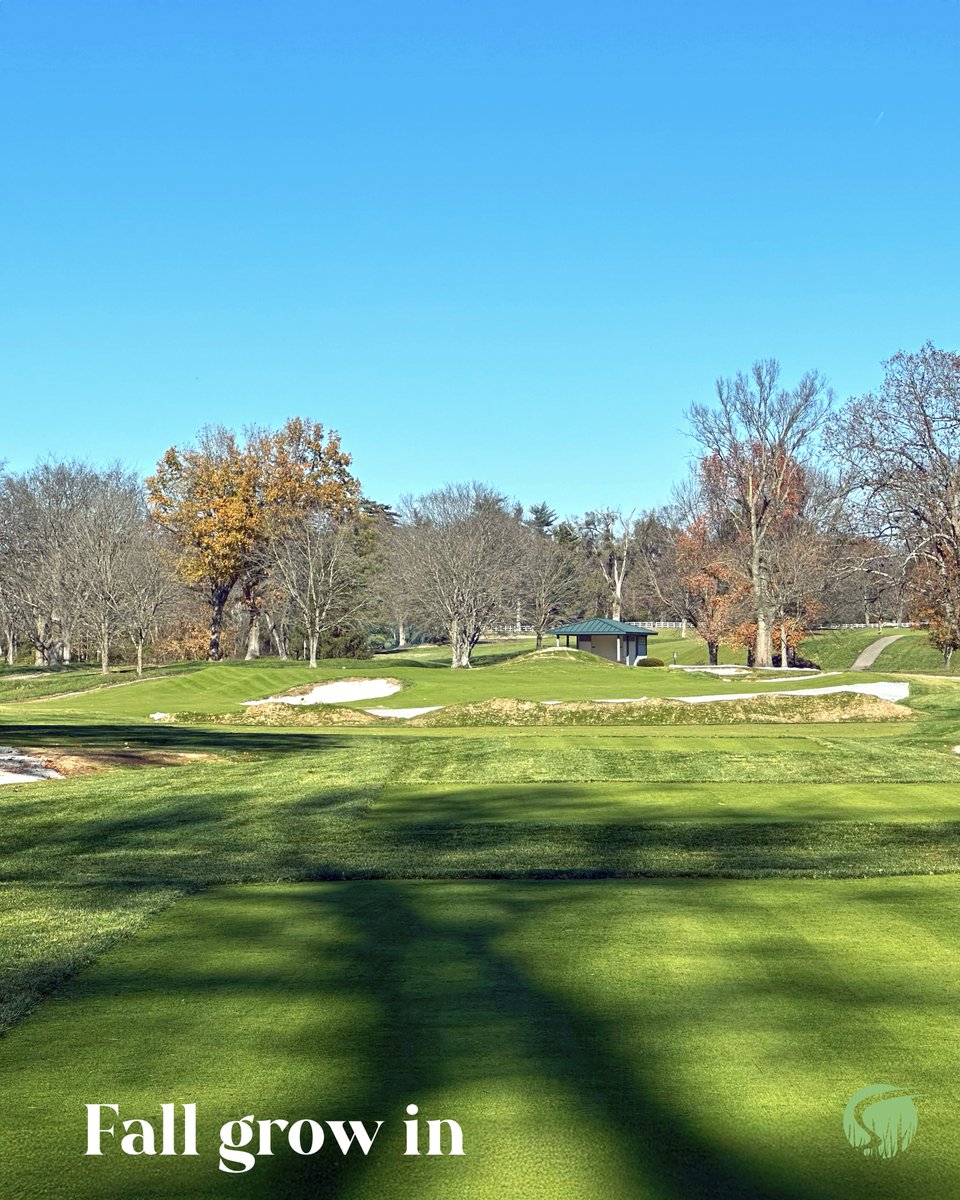 Andy Staples tweet media