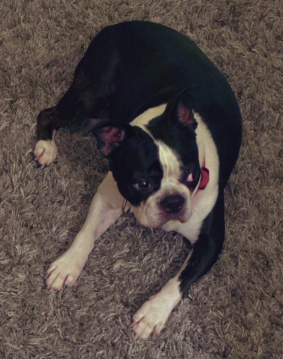 Haley… tweet media