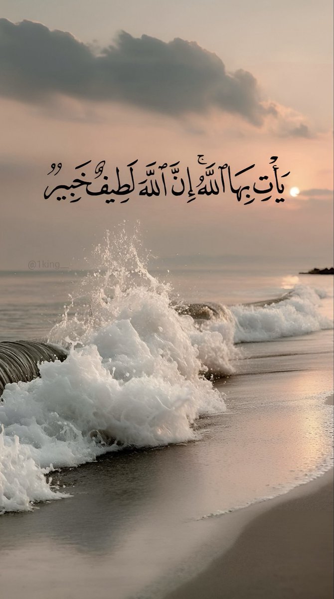 1king__'s tweet image. 