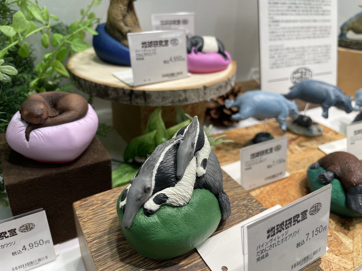 パインヴィレッジ12/15〜1/15ハンズ名古屋 (@525kenji) / Posts / X