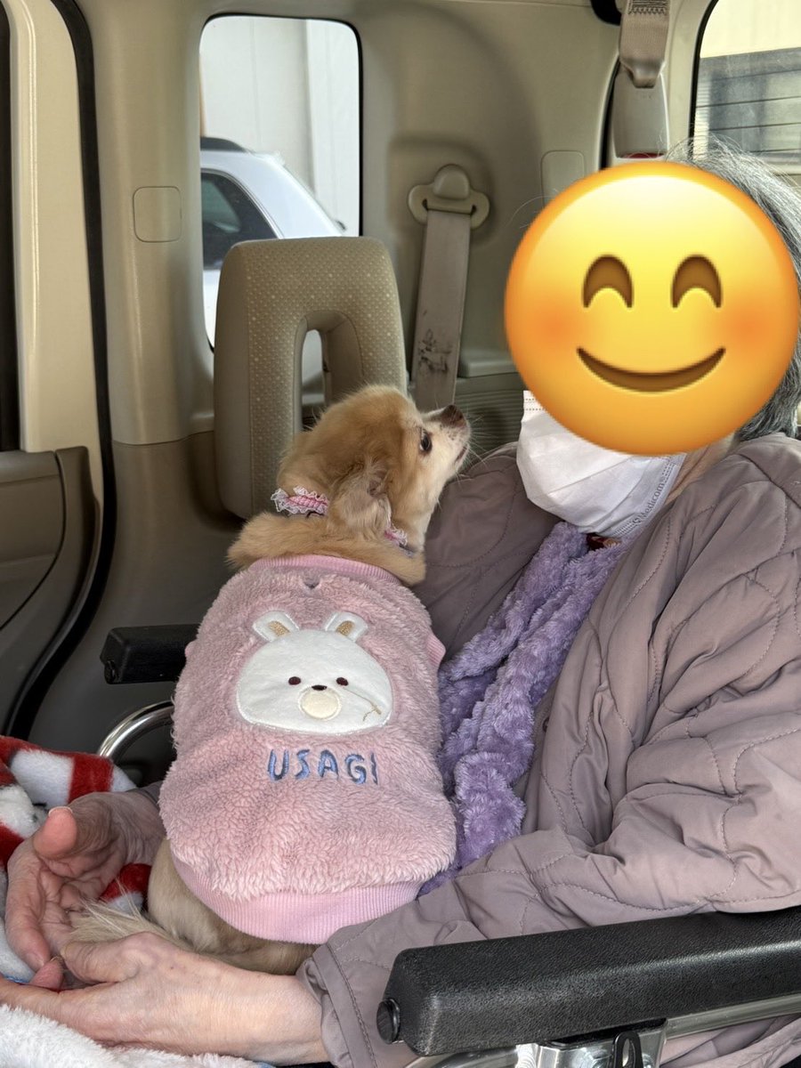 ぽこちゃん🍀🍀 tweet media