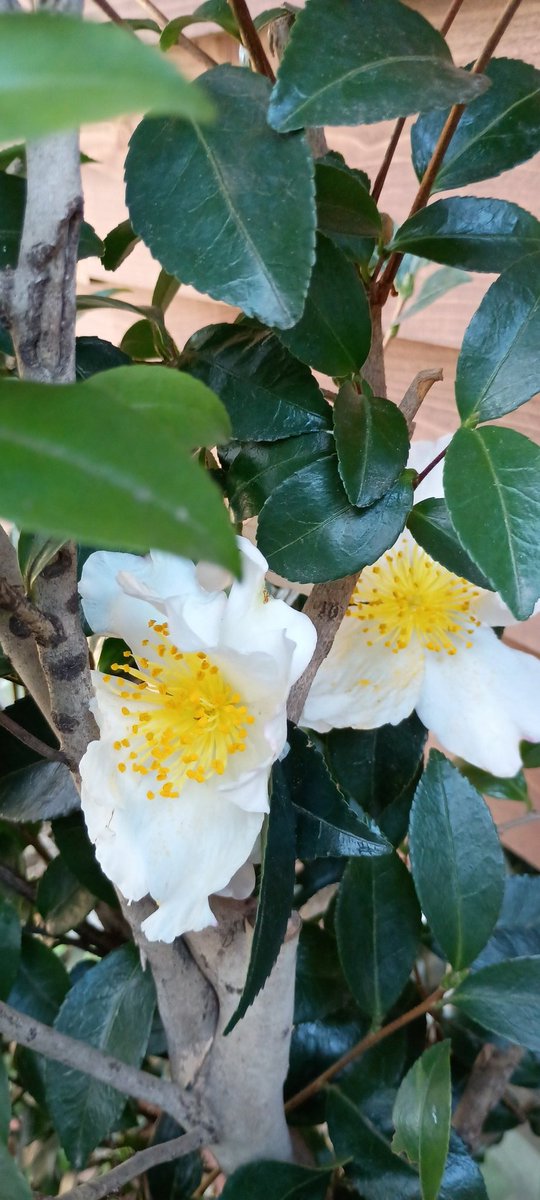 ruby (@ruby23932905) / Posts / X